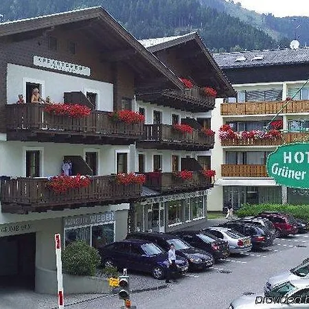 호텔 Gruener Baum