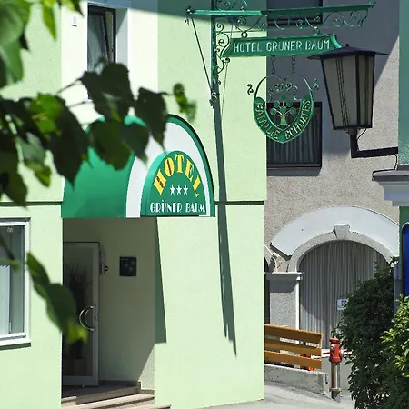 Gruener Baum 4* 滨湖采尔